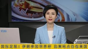 米兰不会因管理层变动而失去下赛季意甲资格